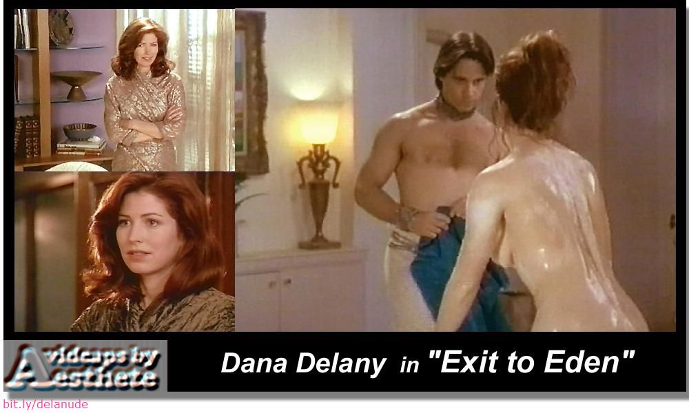 Dana Delany Fakes